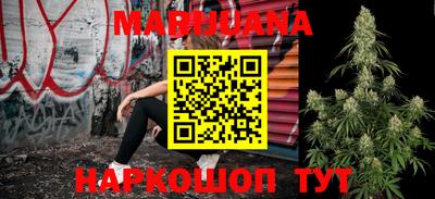 крисы Абакан