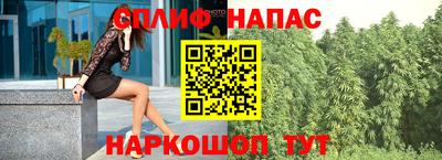 крисы Абакан