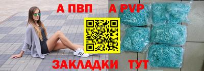 стаф Котовск