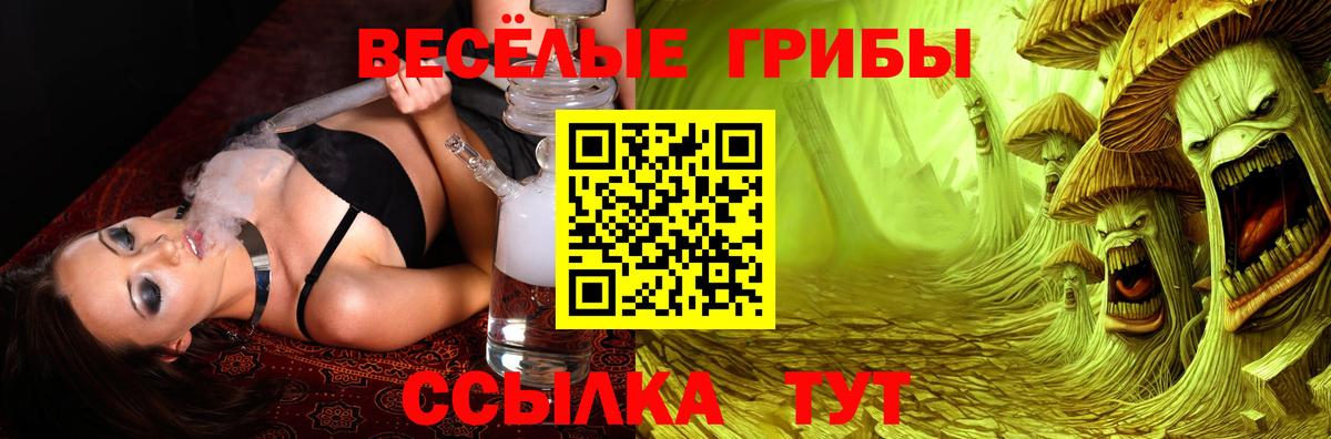 Галлюциногенные грибы MAGIC MUSHROOMS  Ачинск  Галлюциногенные грибы Psilocybe 