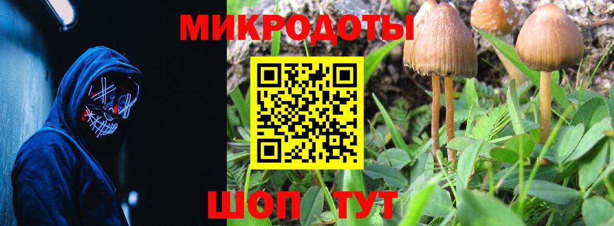Псилоцибиновые грибы Cubensis  где можно купить наркотик  Ачинск  Вход с VPN 
