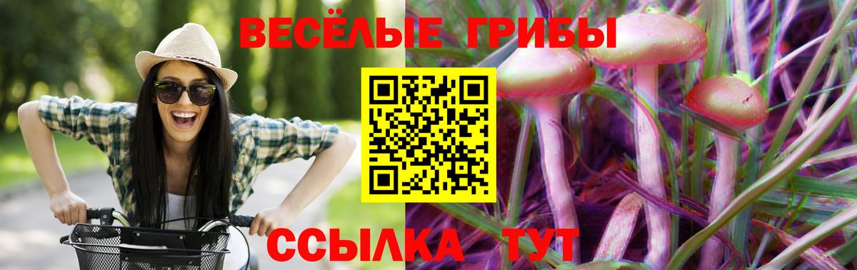 Псилоцибиновые грибы прущие грибы Ачинск