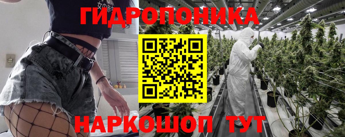 Канабис гибрид Ачинск